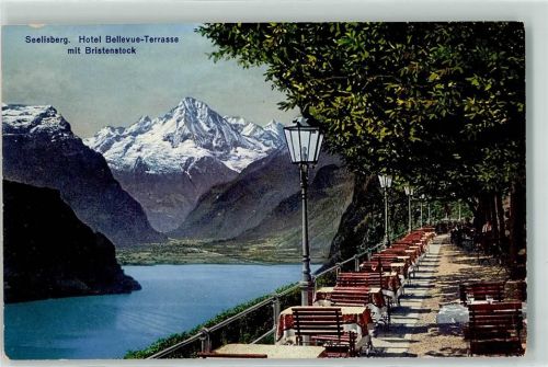 6377 Seelisberg - Hotel Bellevue Terrasse Bristenstock