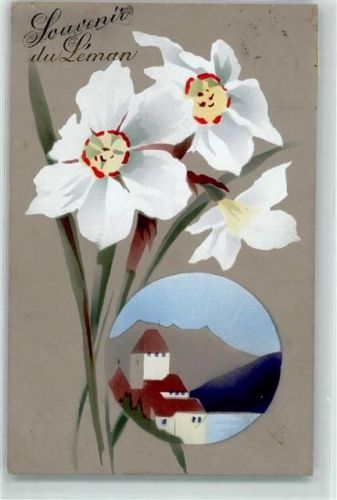 1822 Chernex 1916 - Narzissen Ort lt. Stempel