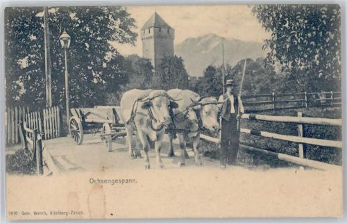 8802 Kilchberg ZH - Ochsengespann