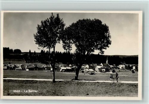 1347 Le Sentier - Bäume