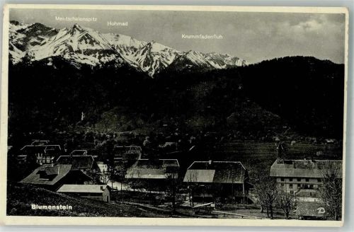 3638 Blumenstein Foto AK