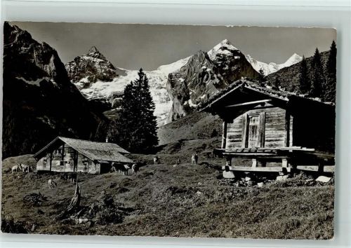 3860 Rosenlaui - Kaltenbrunnenalp mit Wetterhorngruppe