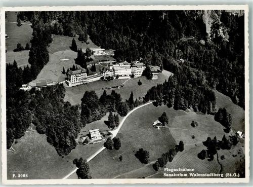 8881 Walenstadtberg Foto AK Fliegeraufnahme Sanatorium Foto Gross