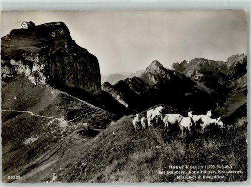 Hoher Kasten - Ziegen Staubern Kreuzberge
