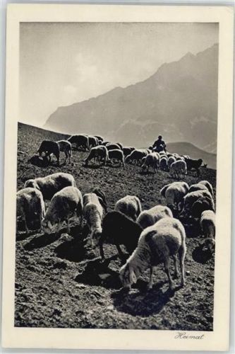 7220 Schiers - Schäfer mit Herde