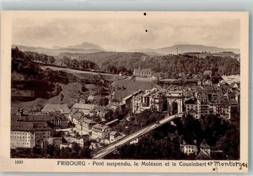 1700 Fribourg Freiburg Foto AK Pont suspendu le Moléson et le Cousinbert