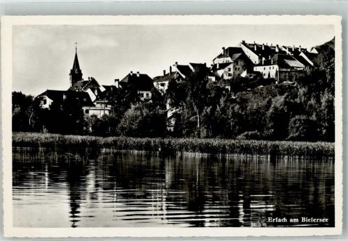 3235 Erlach 1949 Foto AK Bielersee