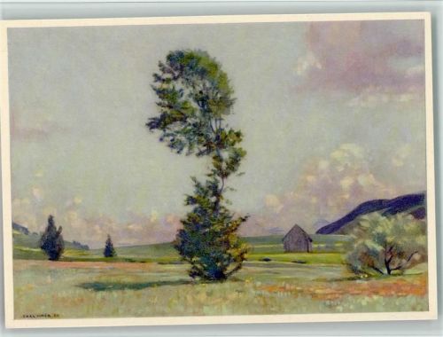 C. Linder - Eggerstander Moos, sehr gute Erhaltung AK Pro Juventute Schweiz