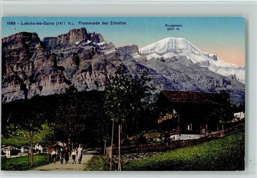 3954 Leukerbad Loèche-les-Bains - Promenade des Echelles Rinderhorn