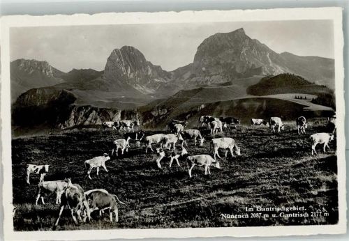 Gantrisch 1938 Sonderstempel Gantrischgebiet Kühe