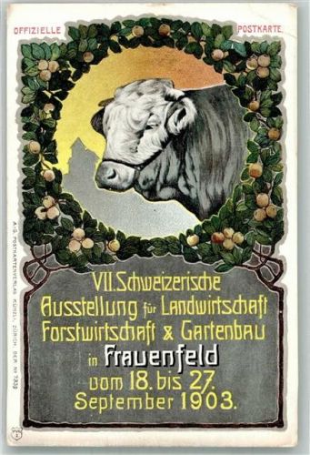 8500 Frauenfeld 1903 Gebrauchsspuren Ausstellung für Land-Forstwirtschaft und Gartenbau Lithographie