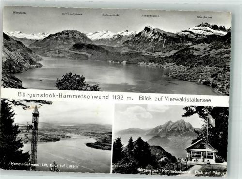 6363 Bürgenstock 1964 Foto AK Hammetschwand- Lift blick auf Luzern Plitaur Vierwaldstättersee