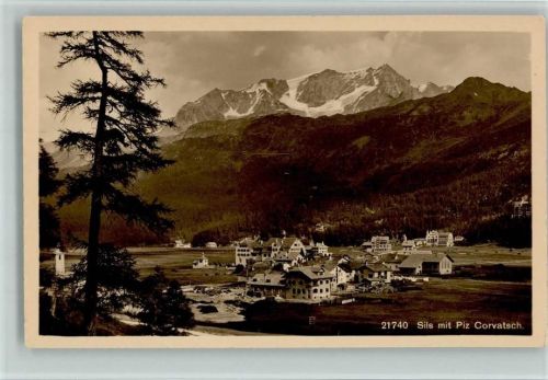 7514 Sils/Segl Maria - Piz Corvatsch Baum