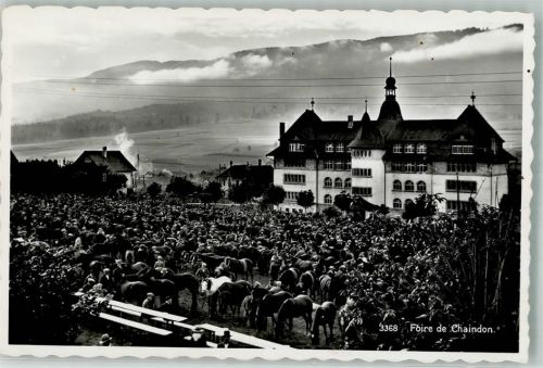 Chaindon Foto AK Marktszene Viehmarkt