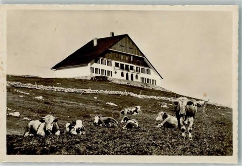 2610 St-Imier Saint-Imier Foto AK Hotel Cahsseral Kühe