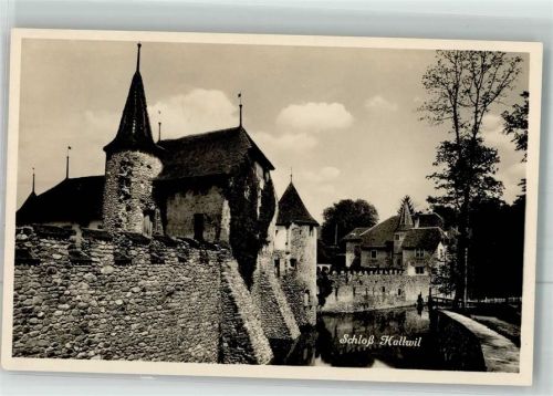 5705 Hallwil 1934 Foto AK Schloss