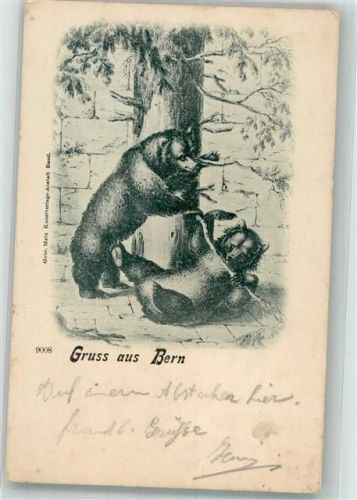 3000 Bern Berne 1900 - Kunstverlag Gebr. Metz 9008