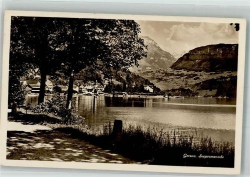 6442 Gersau Foto AK Seepromenade