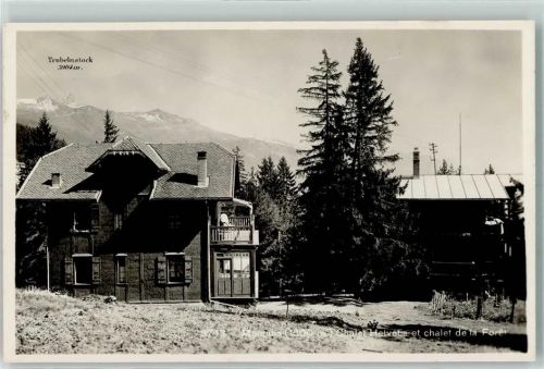 3963 Montana - Chalet Helvétia chalet de la Foret