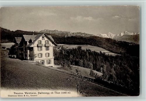 3625 Haltenegg Heiligenschwendi - Pension Waldheim , gute Erhaltung AK