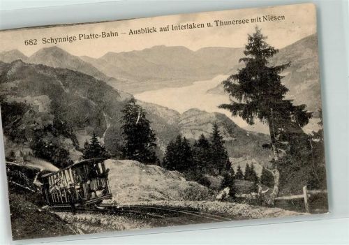 Schynige Platte - Bahn Niesen