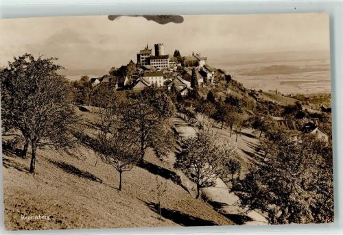 8158 Regensberg - Schloss