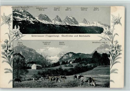 9657 Unterwasser - Churfirsten und Säntiskette Kühe Edelweiß