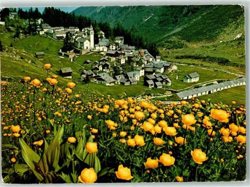 6685 Bosco/Gurin - Blumenfeld