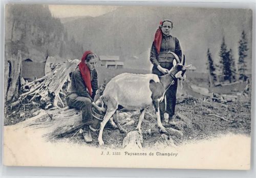 1874 Champéry - Ziege, Bauern