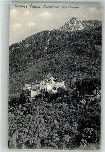 9490 Vaduz 1913 Foto AK Schloss