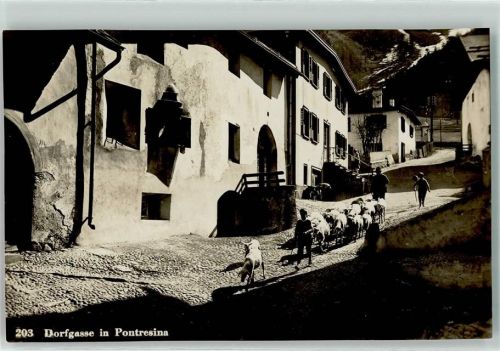 7504 Pontresina Gebrauchsspuren Dorfgasse Schafsherde