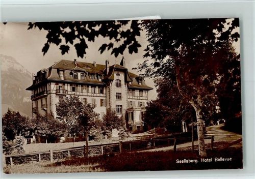 6377 Seelisberg 1922 Foto AK Hotel Bellevue - Kunstverlag Goetz 1728 AK