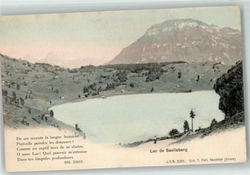 6377 Seelisberg - See