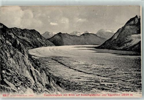 Aletschgletscher - Concordiaplatz Eggishorn