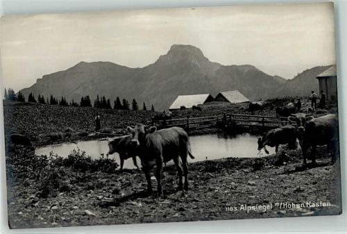 9058 Brülisau - Alpsiegel Kuhherde Hoher Kasten