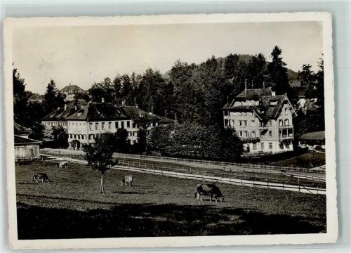9100 Herisau Gebrauchsspuren Heinrichsbad Kurhaus Kuh