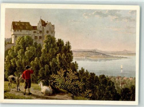 Zürich Schloss Salenstein Ort lt. Verlag Künstlerkarte Pro Juventute Schweiz