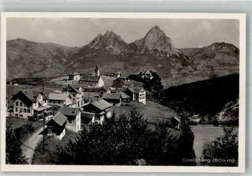 6377 Seelisberg 1929 Foto AK