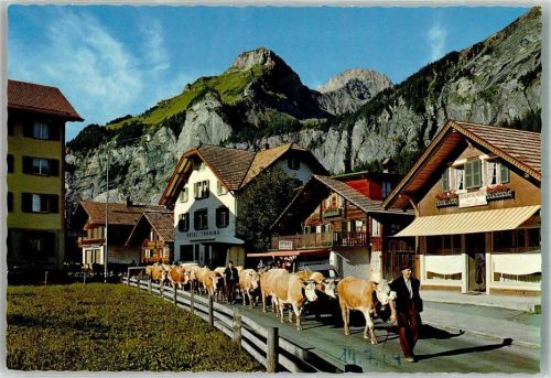 3718 Kandersteg Foto AK Alpabfahrt v. Allmenalp Hotel Touring