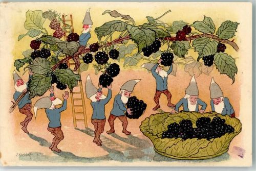 Zwerg sign. E. Kreidolf Herbst Pro Juventute Pro Juventute Schweiz Lithographie