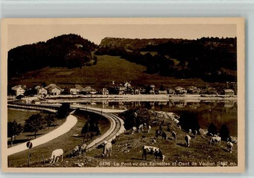 1342 Le Pont - weidende Kühe