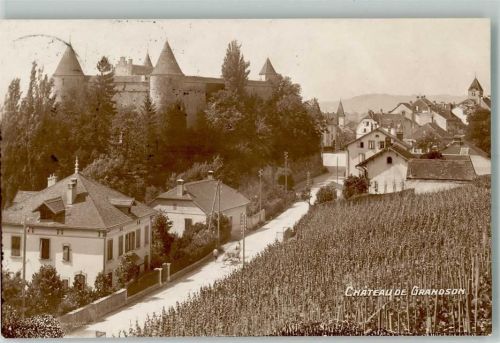 1422 Grandson 1915 Foto AK Schloss