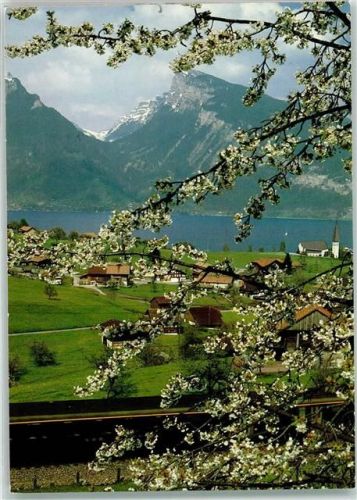 Spiez Werbung SBB Pro Infirmis Schweiz Werbe AK