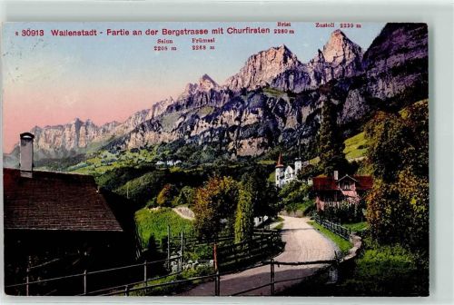 8880 Walenstadt - Bergstraße mit Churfürsten