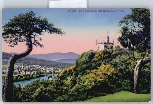 4600 Olten - Säli-Schlössli, Gesamtansicht