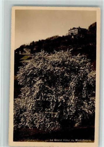 Mont Pelerin - La Grand Hotel du Monte Pelerin