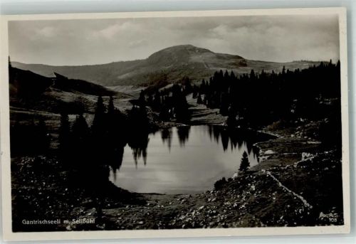 Gantrisch Foto AK Gantrischseeli Selibühl