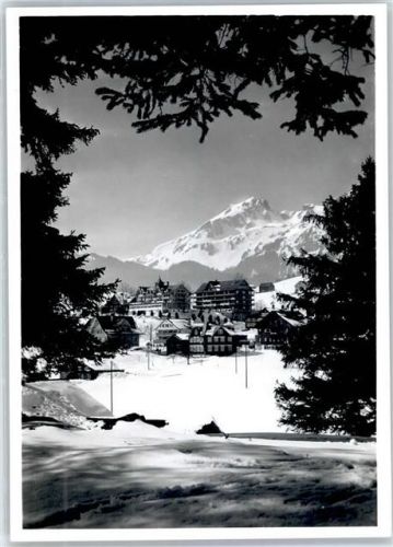 9658 Wildhaus Foto AK Lütispitz