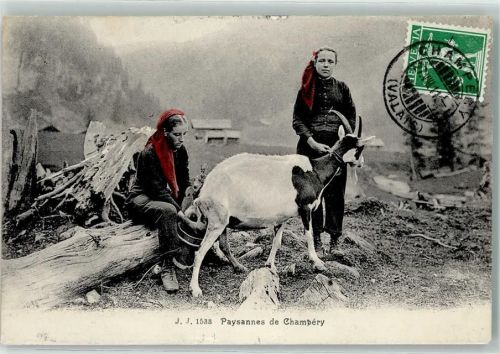 1874 Champéry 1911 - Bauernfrauen mit Ziege