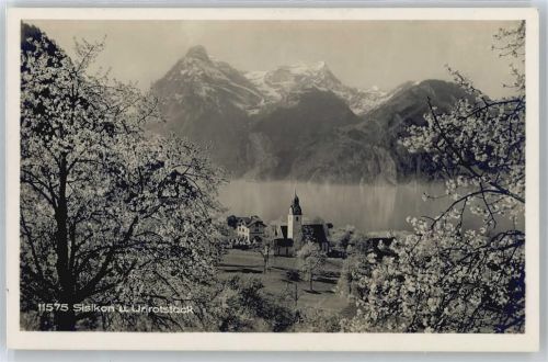 6452 Sisikon - Urirotstock